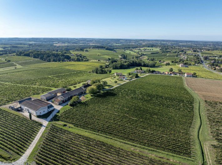 Country House in the Heart of Vineyards