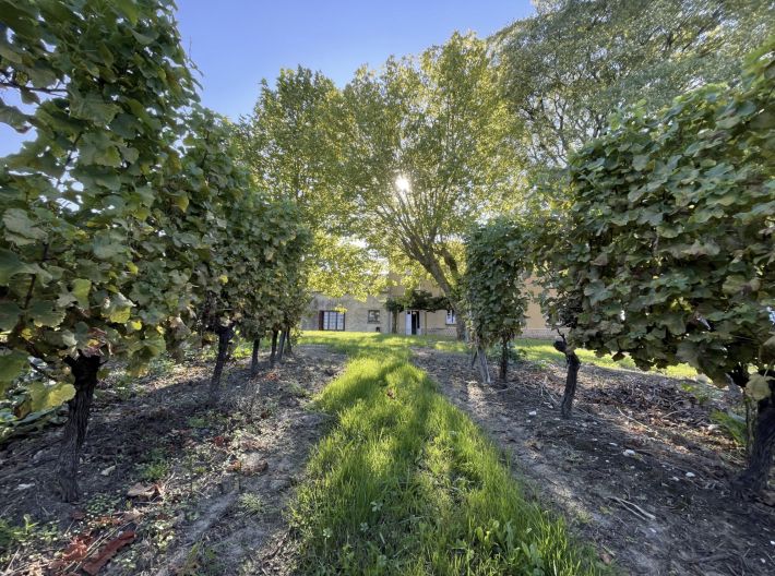 Country House in the Heart of Vineyards