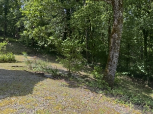 Detached House in Private Mature Garden