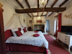 Countryside Manor House with Swimming Pool and More