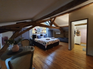 Countryside Manor House with Swimming Pool and More