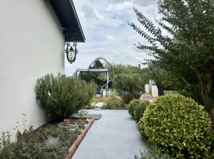 Detached House and Guest Gite with Swimming Pool