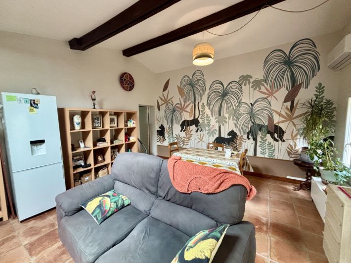 Detached House and Guest Gite with Swimming Pool