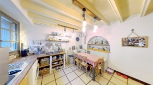Two Lovely Apartments with Business Premises