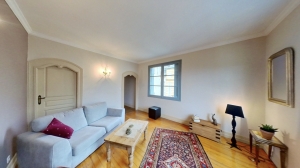 Two Lovely Apartments with Business Premises