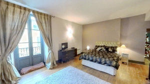 Two Lovely Apartments with Business Premises