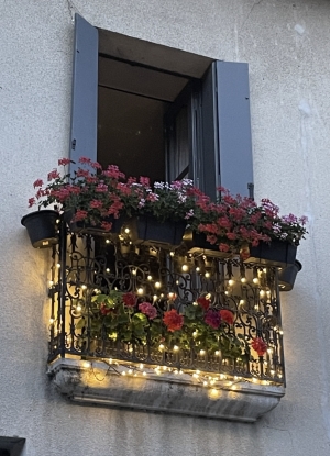 Two Lovely Apartments with Business Premises
