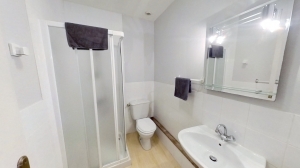 Two Lovely Apartments with Business Premises