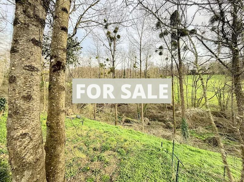 Farm Building to Develop, Strong Potential