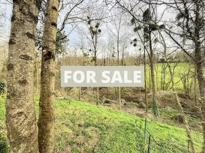 Farm Building to Develop, Strong Potential