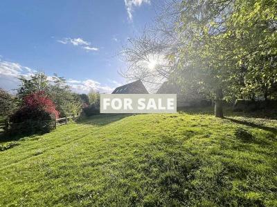 Property For Sale