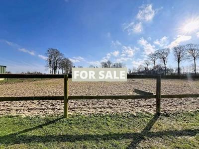 Main House with Equestrian Facilities with Stables