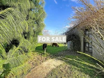 Main House with Equestrian Facilities with Stables