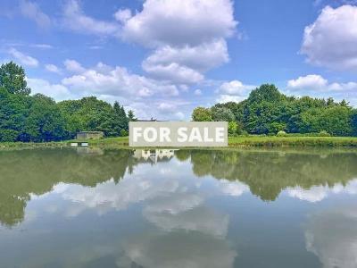 Detached Country House with Lake and Land