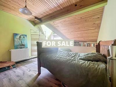 Detached Country House with Lake and Land