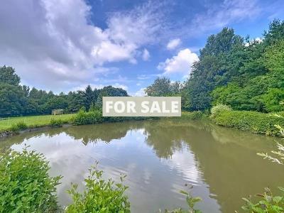 Detached Country House with Lake and Land