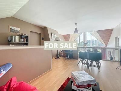 Detached Country House with Lake and Land