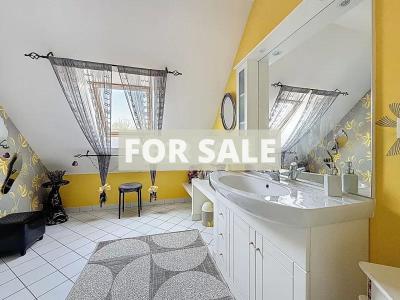 Contemporary Detached House with Swimming Pool