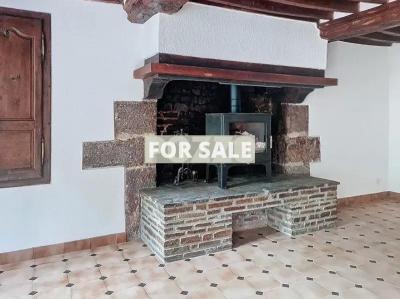 Lovely House with Terrace and Garden