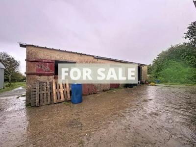 Former Farm Complex, Ideal Equestrian Opportunity