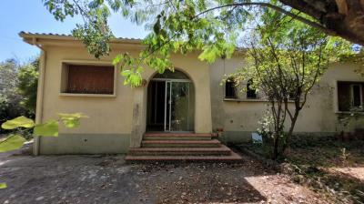 Charming Detached House with Garden