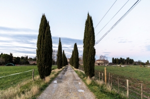 Period Property in the Heart of the Camargue