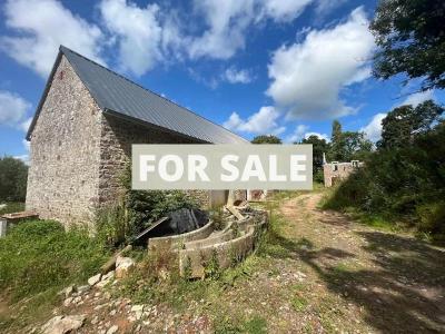 Stone Property and Outbuildings to Renovate