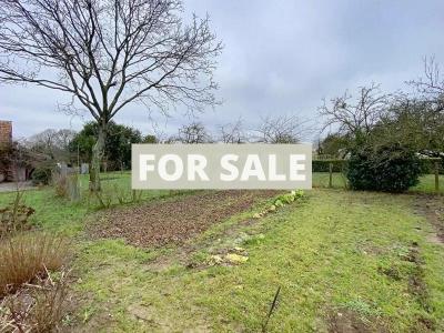 Property For Sale