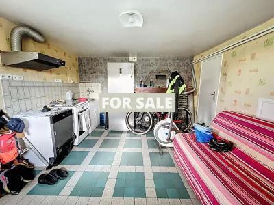 Detached House with Landscaped Garden