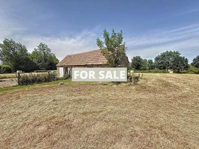 Property For Sale