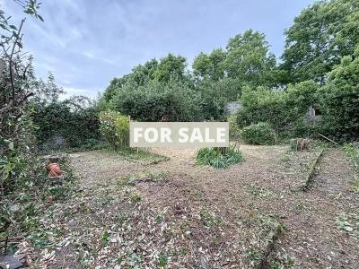 Property For Sale
