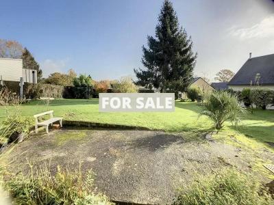 Detached House with Garden