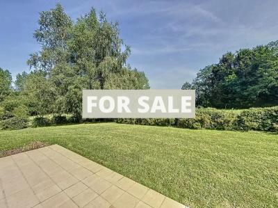 Contemporary Detached House with Mature Garden