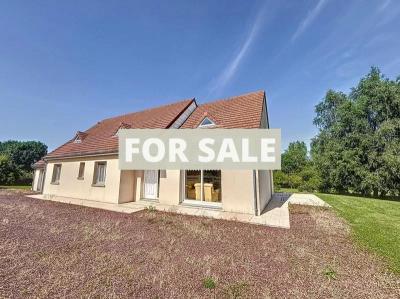 Contemporary Detached House with Mature Garden