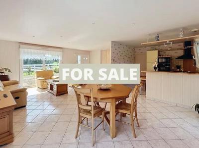 Contemporary Detached House with Mature Garden