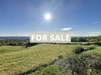 Property For Sale