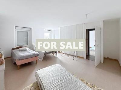 Detached Country House with Outbuilding