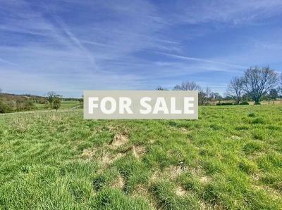 Immaculate Detached Country House with Outbuildings