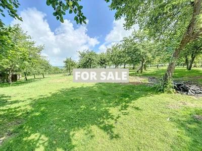 Detached House with Landscaped Garden