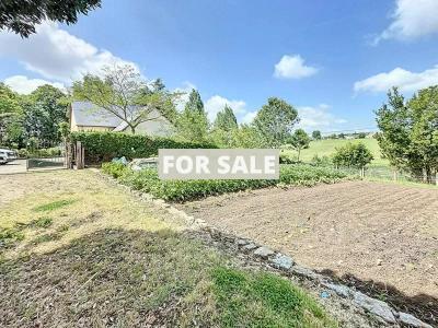 Detached House with Landscaped Garden