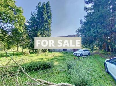 Habitable Detached Country House to Renovate
