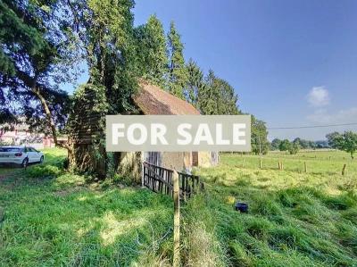 Habitable Detached Country House to Renovate