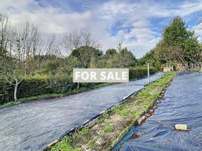Traditional House with Garden