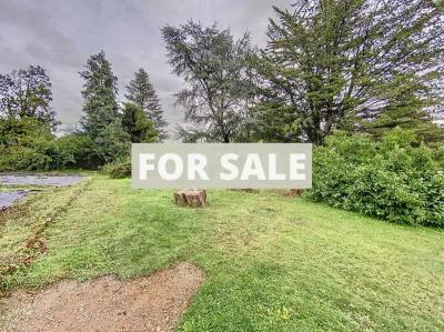 Detached House with Garden