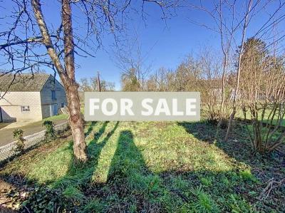 Stone House to Renovate with Garden