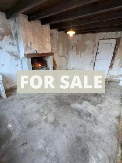 Stone House to Renovate with Garden