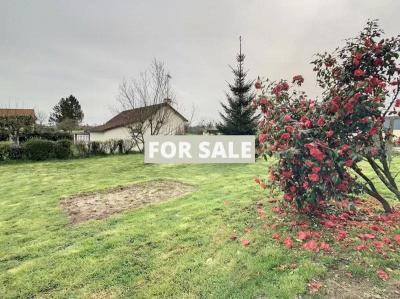 Property For Sale