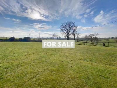 Detached Country House with Op