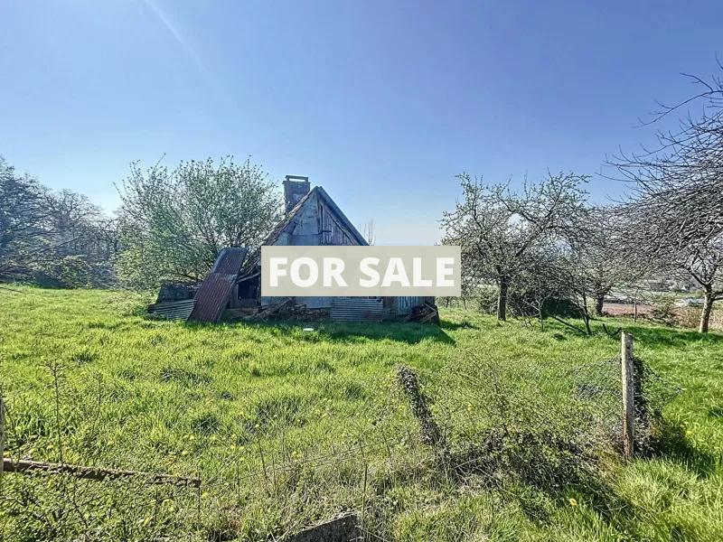 Habitable Detached House with More Potential