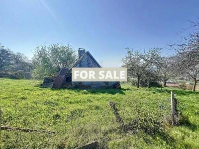 Habitable Detached House with More Potential